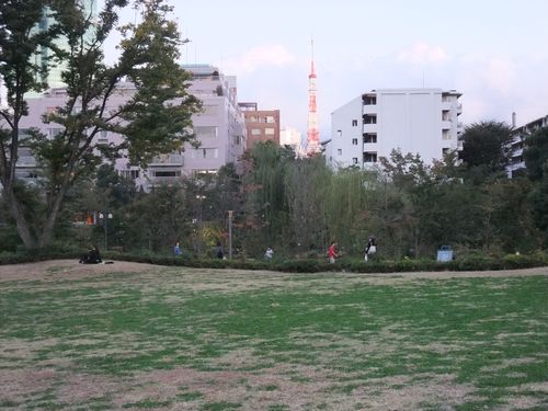 ちょっと芝生が残念な感じ。