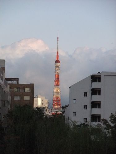 東京タワーも近くにみえる。