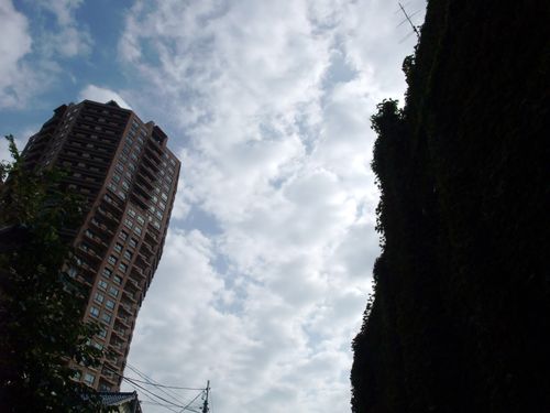 陰影のある風景。