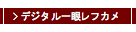 ラが無い。