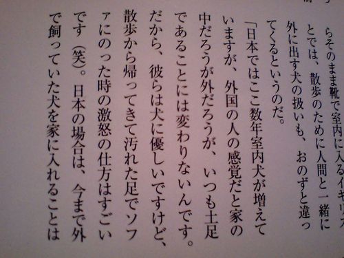 怒るぐらいなら先に足を拭いてやれと。