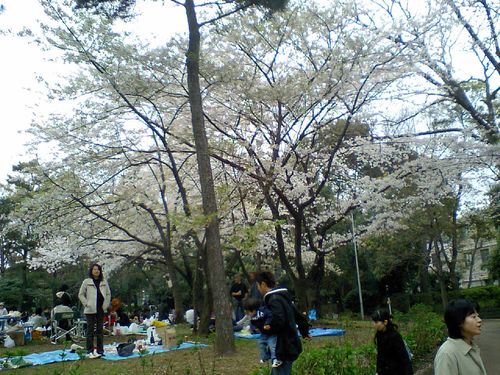 有栖川公園は結構混んでます。