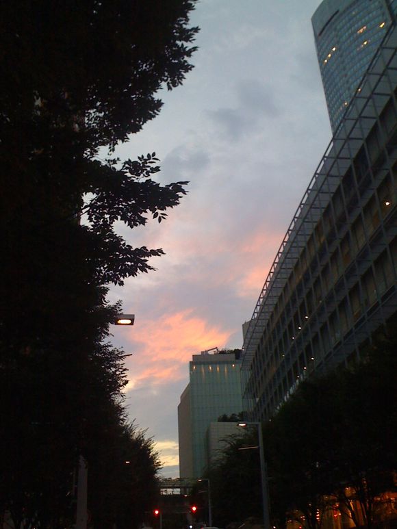 Sunset @ 六本木けやき坂